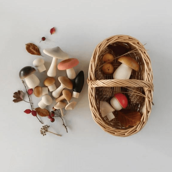 Forest Mushrooms in a Basket | Moon Picnic | Little Lights Co.