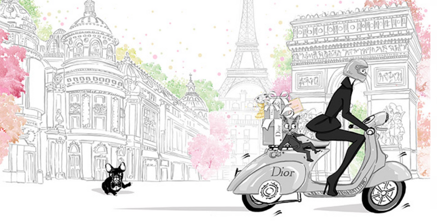 Claris in Paris: Fashion Show Fiasco | Hardback Book