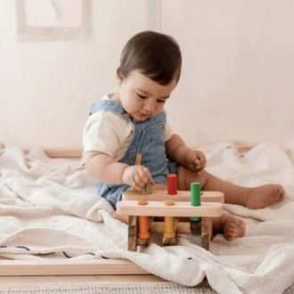 Qtoys | Pound A Peg