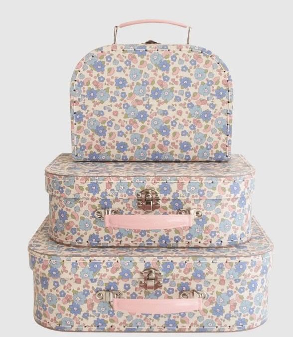 Alimrose | Carry Case Set (3pcs), Liberty Blue - Image 3