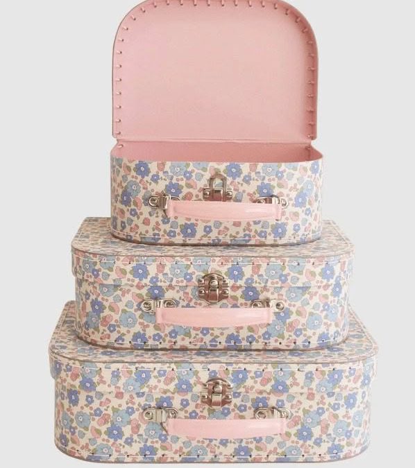 Alimrose | Carry Case Set (3pcs), Liberty Blue - Image 2