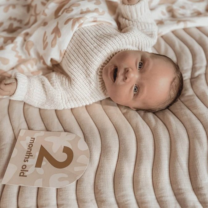 Fox & Fallow | Baby Milestone Cards, Helios - Image 5