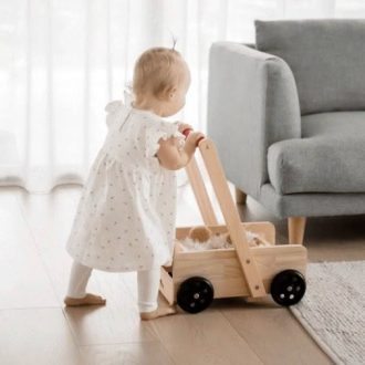 Qtoys | Classic Baby Walker
