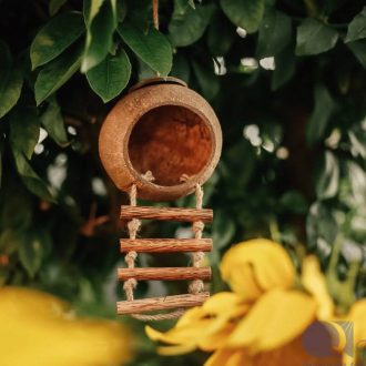 Qtoys | Hanging Fairy or Bird House