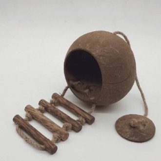 Qtoys | Hanging Fairy or Bird House