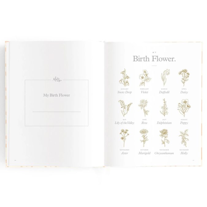 Fox & Fallow | Mini Baby Book, Sage - Image 15