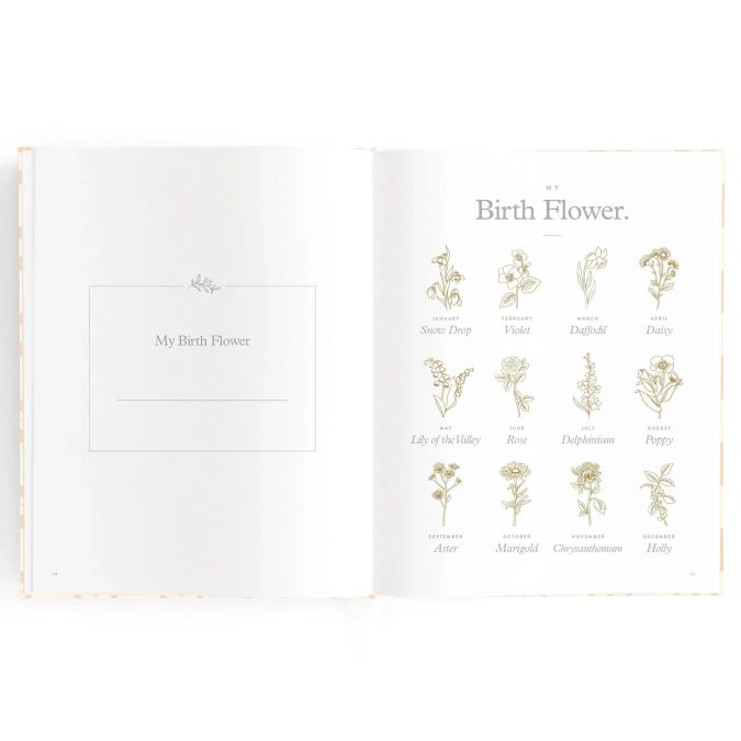 Fox & Fallow | Baby Book, Blue Check - Image 3
