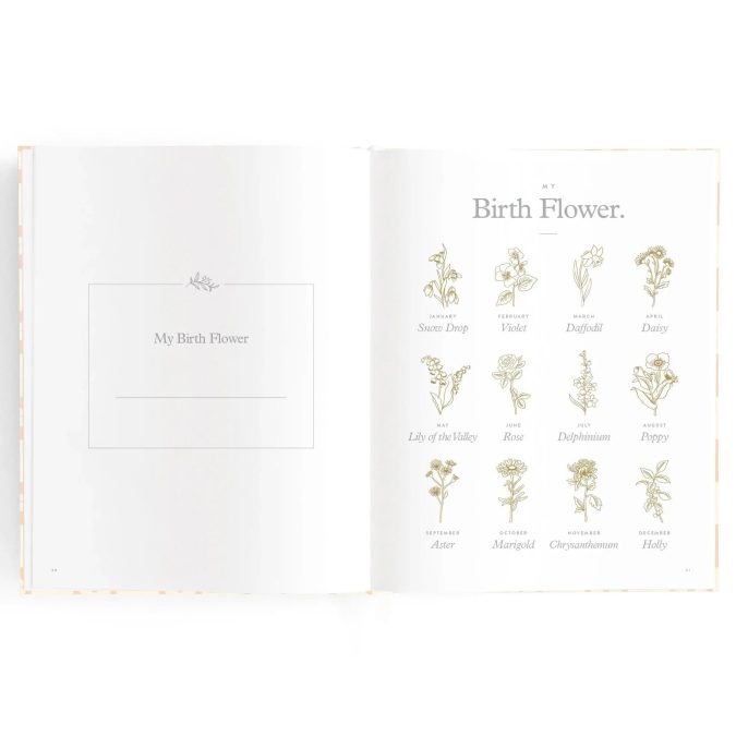 Fox & Fallow | Baby Book, Cloud Stripe - Image 5