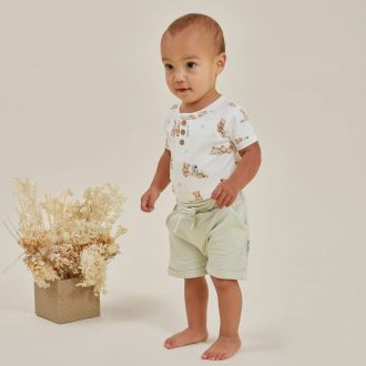 Aster & Oak | Short Sleeve Bodysuit, Teddy Picnic