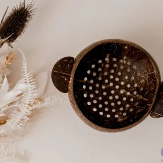 Qtoys | Coconut Colander