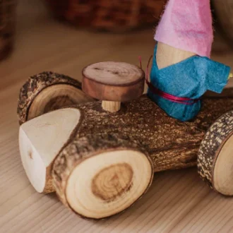 Qtoys | Gnome Car