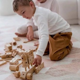 Qtoys | Natural Wood Construction Set