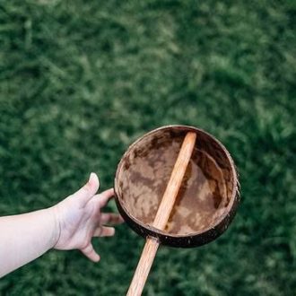 Qtoys | Coconut Water Scoop
