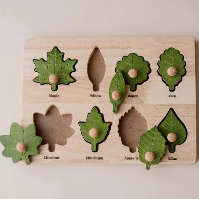 Qtoys | Montessori Leaf Puzzle - Image 4