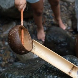 Qtoys | Coconut Water Scoop