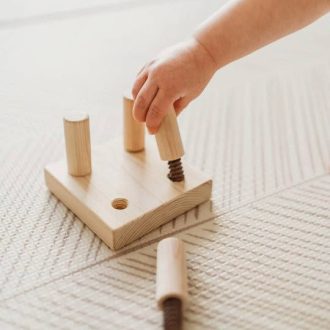 Qtoys | Screw Game