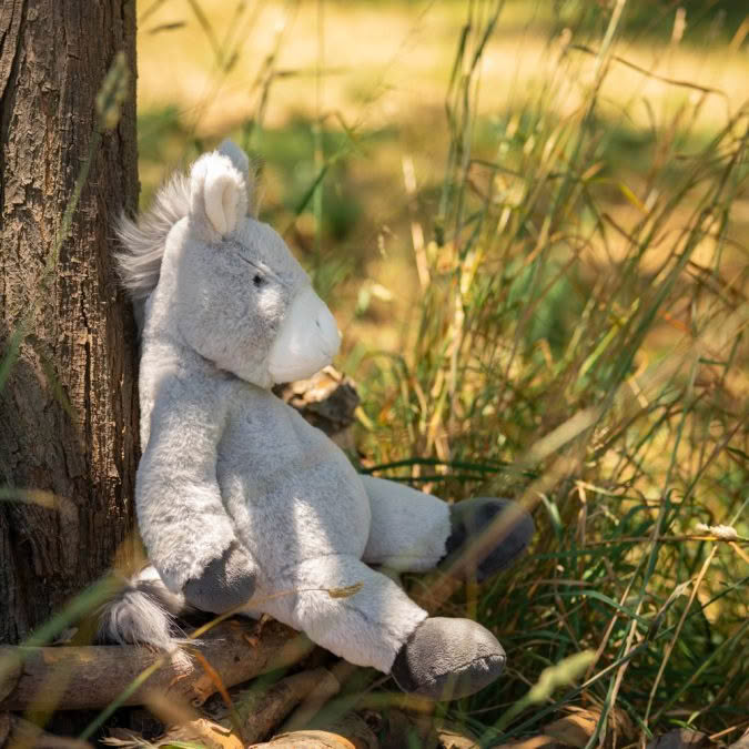 Nana Huchy | Dexter the Lazy Donkey - Image 5