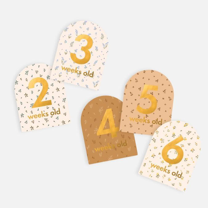 Fox & Fallow | Baby Milestone Cards, Broderie - Image 7