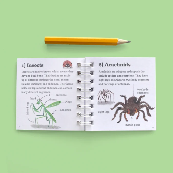 Tiger Tribe | Bug Spotter Kit - Image 3